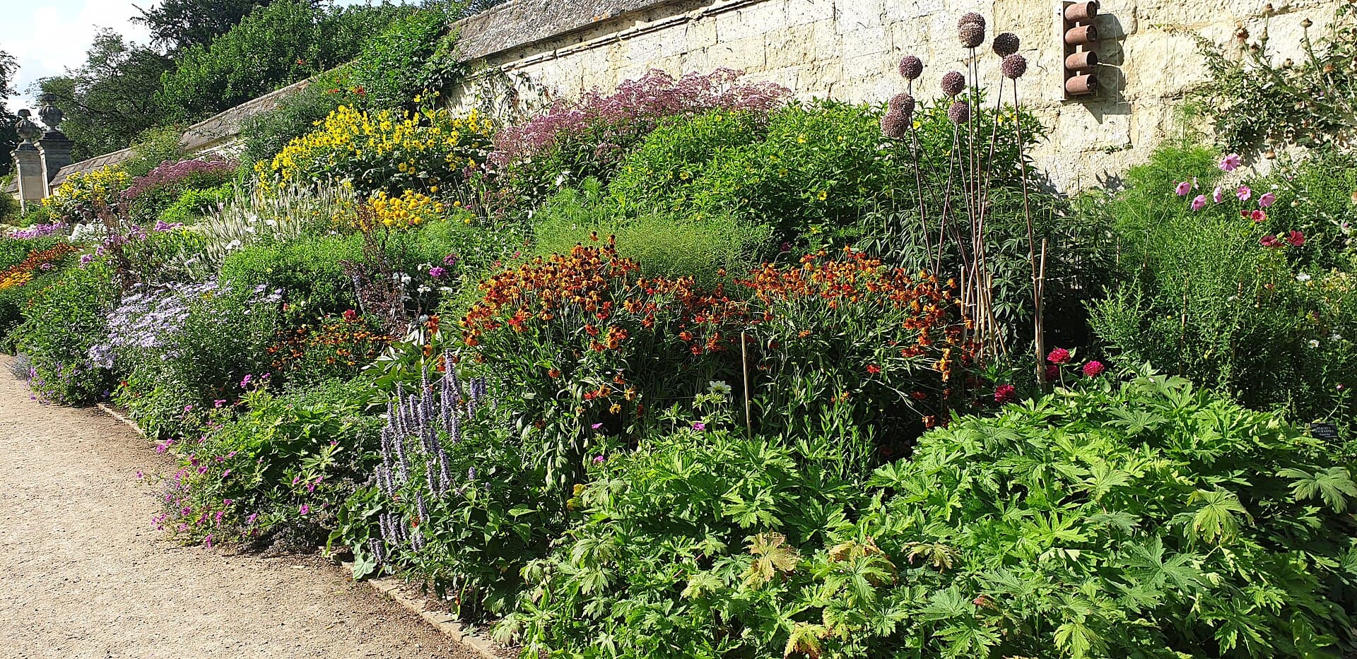 Beplanting en borders aanleggen